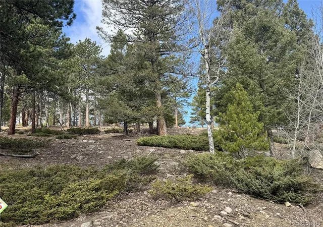 Photo 2 of Land for sale at 30317 Aspen Turn, Buena Vista, CO 81211 | MLS# 2341732 | Listing updated on 2026-09-08