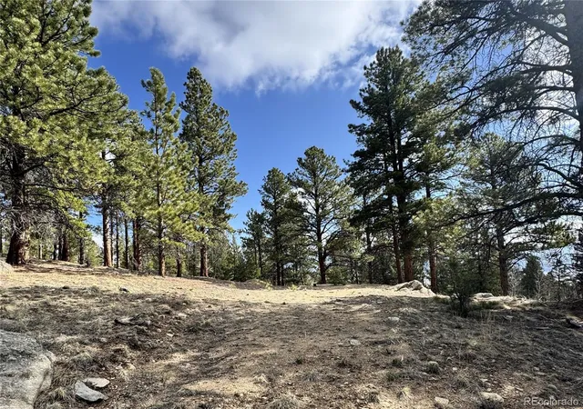Homes for sale in Buena Vista, CO | 30317 Aspen Turn, Buena Vista, CO 81211 | MLS# 2341732