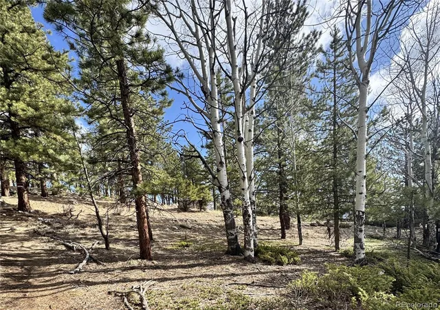 Photo 3 of Land for sale at 30317 Aspen Turn, Buena Vista, CO 81211 | MLS# 2341732 | Listing updated on 2026-09-08