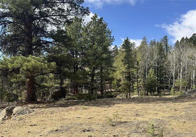 Homes for sale in Buena Vista, CO | 30317 Aspen Turn, Buena Vista, CO 81211 | MLS# 2341732