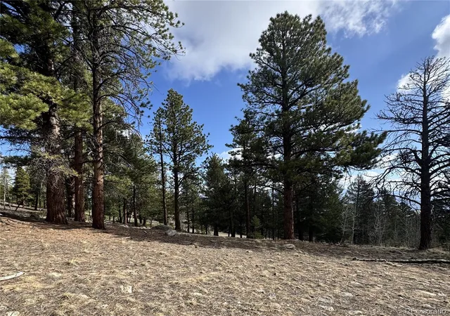 Homes for sale in Buena Vista, CO | 30317 Aspen Turn, Buena Vista, CO 81211 | MLS# 2341732