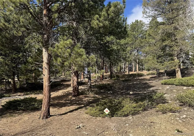 Homes for sale in Buena Vista, CO | 30317 Aspen Turn, Buena Vista, CO 81211 | MLS# 2341732