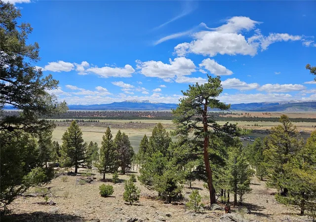 Homes for sale in Fairplay, CO | Bonell Dr, Fairplay, CO 80440 | MLS# 4451530