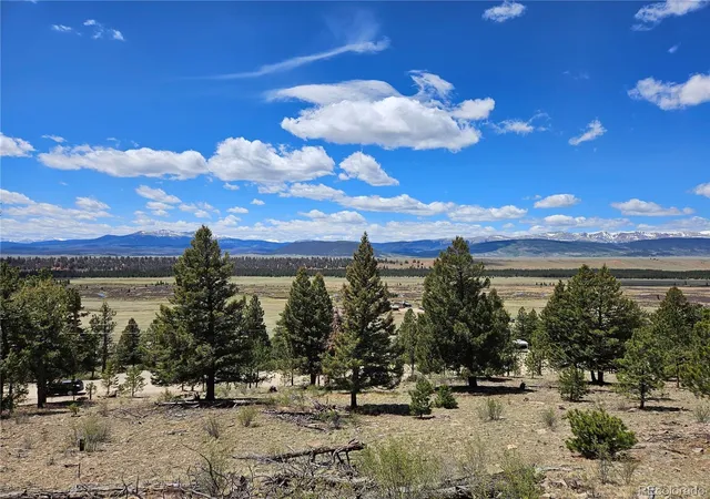 Homes for sale in Fairplay, CO | Bonell Dr, Fairplay, CO 80440 | MLS# 4451530