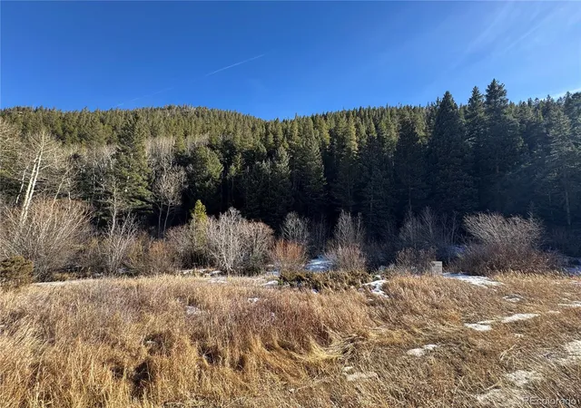 Photo 3 of Land for sale at 00 Highway 103, Idaho Springs, CO 80452 | MLS# 6984513 | Listing updated on 2026-07-27