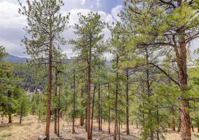 Homes for sale in Bailey, CO | 307 Virginia Rd, Bailey, CO 80421 | MLS# 9033838