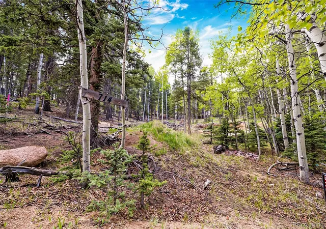 Homes for sale in Divide, CO | 714 Will Stutley Dr, Divide, CO 80814 | MLS# 4806971