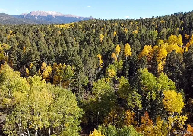 Photo 1 of Land for sale at 714 Will Stutley Dr, Divide, CO 80814 | MLS# 4806971 | Listing updated on 2026-10-11