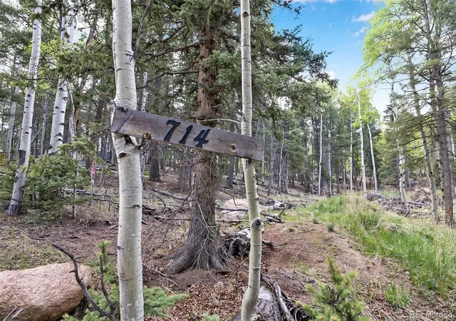 Homes for sale in Divide, CO | 714 Will Stutley Dr, Divide, CO 80814 | MLS# 4806971