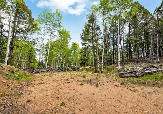 Homes for sale in Divide, CO | 714 Will Stutley Dr, Divide, CO 80814 | MLS# 4806971
