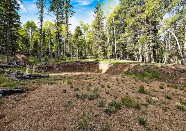 Homes for sale in Divide, CO | 714 Will Stutley Dr, Divide, CO 80814 | MLS# 4806971