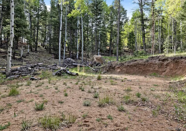 Homes for sale in Divide, CO | 714 Will Stutley Dr, Divide, CO 80814 | MLS# 4806971