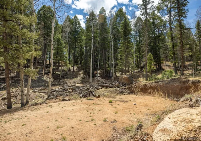 Homes for sale in Divide, CO | 714 Will Stutley Dr, Divide, CO 80814 | MLS# 4806971