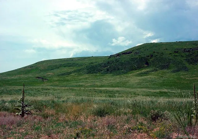 Homes for sale in Larkspur, CO | Lot 4 Twin Bluffs Rd, Larkspur, CO 80118 | MLS# 8708751