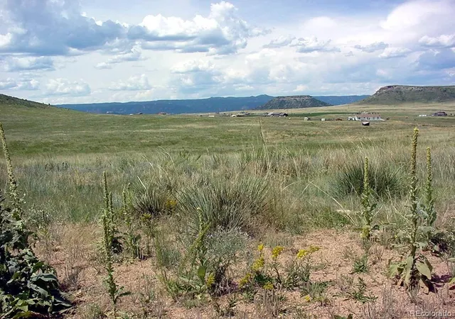 Homes for sale in Larkspur, CO | Lot 4 Twin Bluffs Rd, Larkspur, CO 80118 | MLS# 8708751