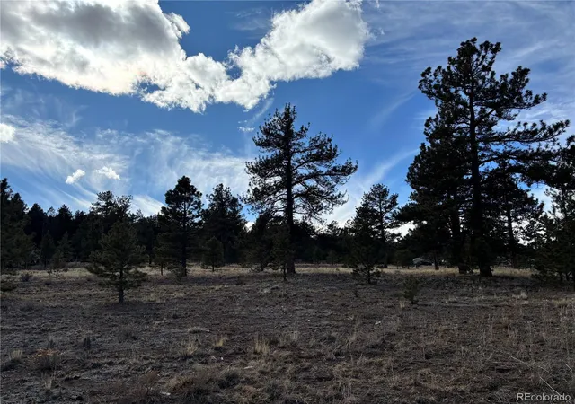 3rd image of 823 Windmill Dr, Hartsel, CO 80449 | MLS# 2267985