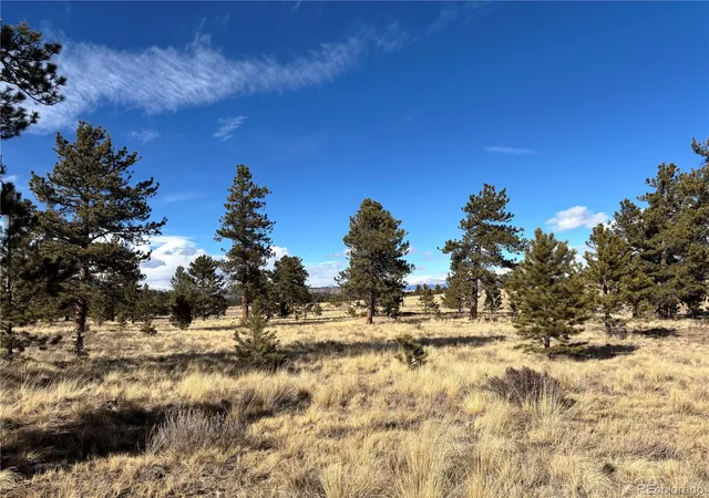4th image of 823 Windmill Dr, Hartsel, CO 80449 | MLS# 2267985