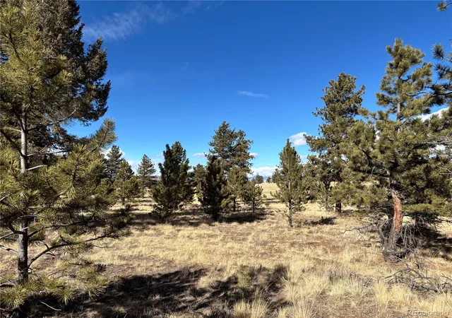 5th image of 823 Windmill Dr, Hartsel, CO 80449 | MLS# 2267985