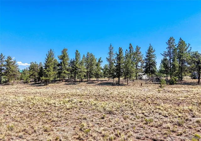 5th image of 2538 Windmill Dr, Hartsel, CO 80449 | MLS# 5531396