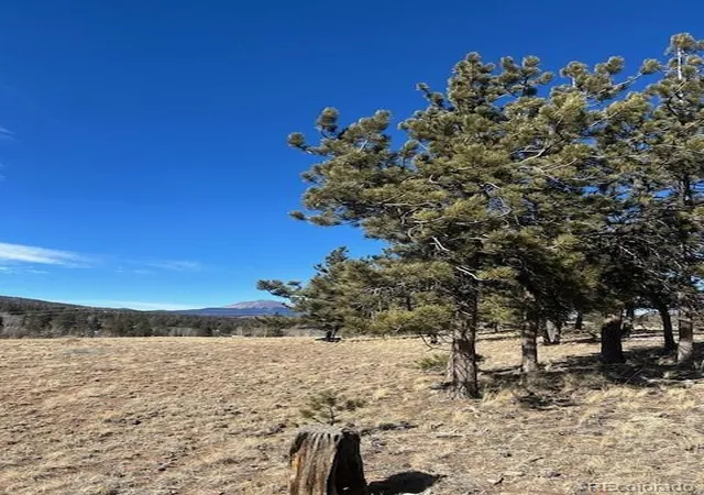 13th image of 2538 Windmill Dr, Hartsel, CO 80449 | MLS# 5531396
