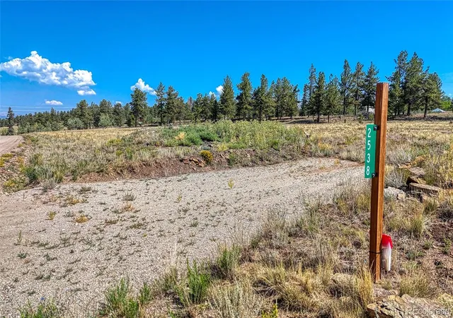 4th image of 2538 Windmill Dr, Hartsel, CO 80449 | MLS# 5531396