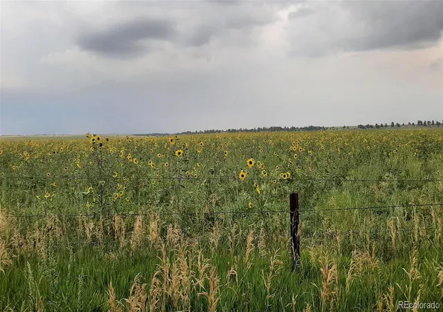 23rd image of 21545 Elk Meadows Cir, Elbert, CO 80106 | MLS# 2385258