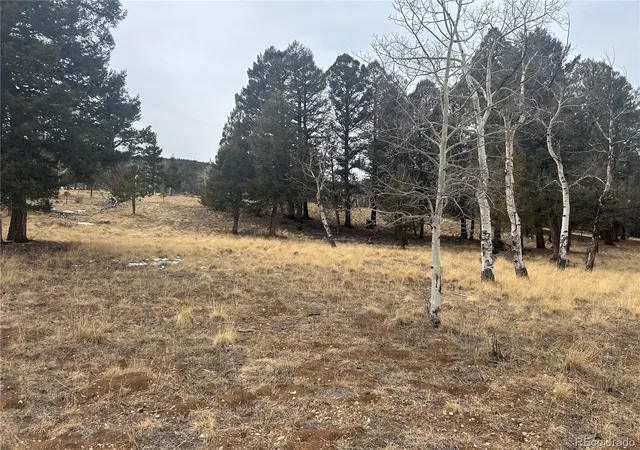 Photo 15 of Land for sale at 1421 Pitchfork Rd, Hartsel, CO 80449 | MLS# 3789838 | Listing updated on 2026-02-19
