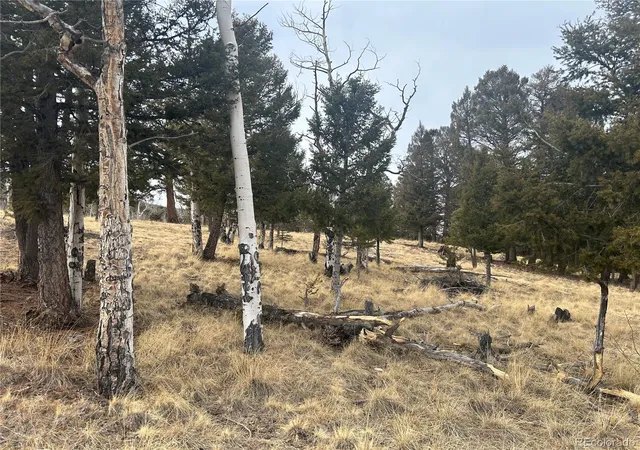 Photo 1 of Land for sale at 1421 Pitchfork Rd, Hartsel, CO 80449 | MLS# 3789838 | Listing updated on 2026-02-19