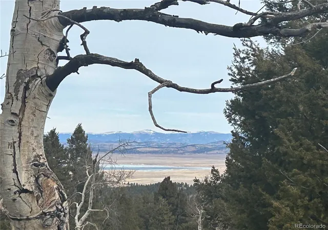 Photo 2 of Land for sale at 1421 Pitchfork Rd, Hartsel, CO 80449 | MLS# 3789838 | Listing updated on 2026-02-19