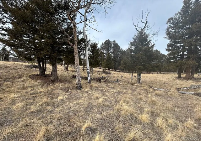 Photo 3 of Land for sale at 1421 Pitchfork Rd, Hartsel, CO 80449 | MLS# 3789838 | Listing updated on 2026-02-19
