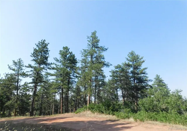 3rd image of 8122 Acoma Dr, Larkspur, CO 80118 | MLS# 5420848