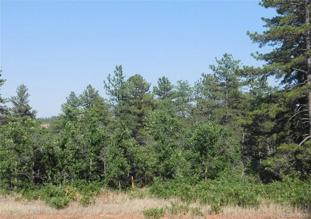 4th image of 8122 Acoma Dr, Larkspur, CO 80118 | MLS# 5420848