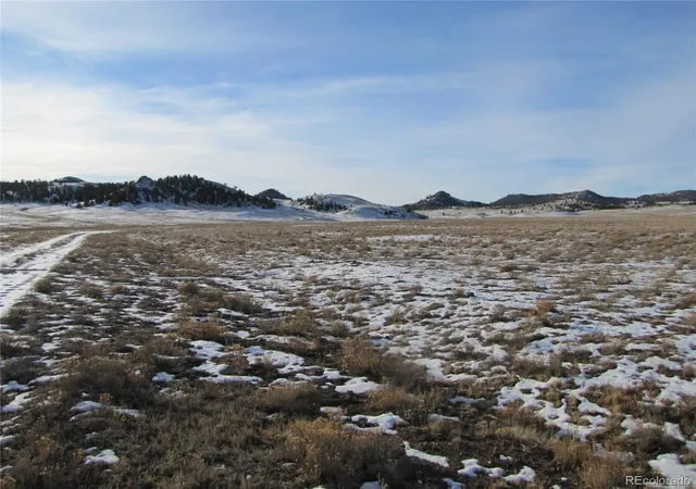 Homes for sale in Hartsel, CO | 0 Buffalo Dr, Hartsel, CO 80449 | MLS# 9518620
