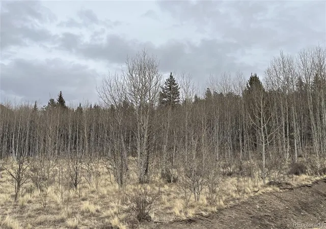 Photo 2 of Land for sale at 688 Ouray Trl, Como, CO 80432 | MLS# 2456777 | Listing updated on 2026-02-17