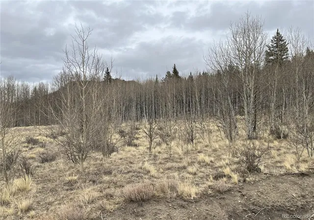 Photo 3 of Land for sale at 688 Ouray Trl, Como, CO 80432 | MLS# 2456777 | Listing updated on 2026-02-17