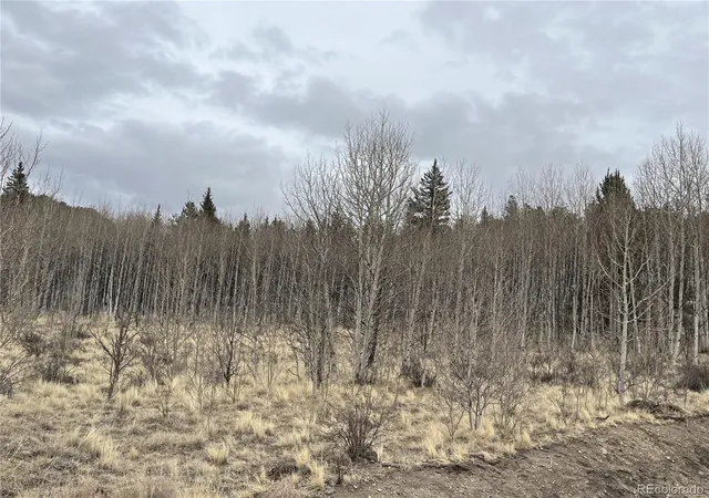Photo 4 of Land for sale at 688 Ouray Trl, Como, CO 80432 | MLS# 2456777 | Listing updated on 2026-02-17