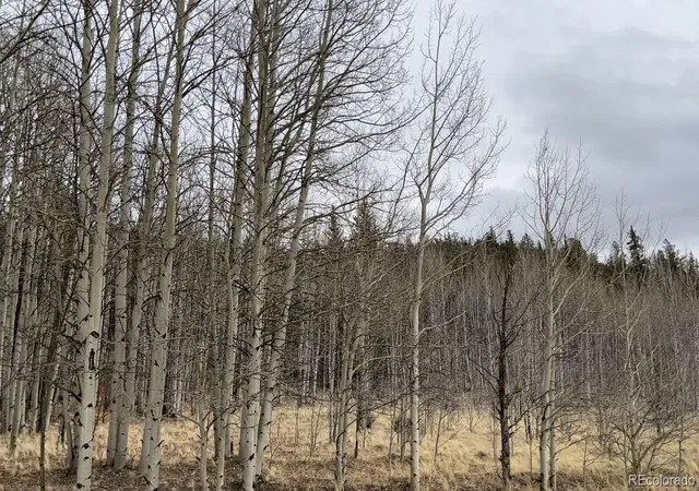 Photo 5 of Land for sale at 688 Ouray Trl, Como, CO 80432 | MLS# 2456777 | Listing updated on 2026-02-17