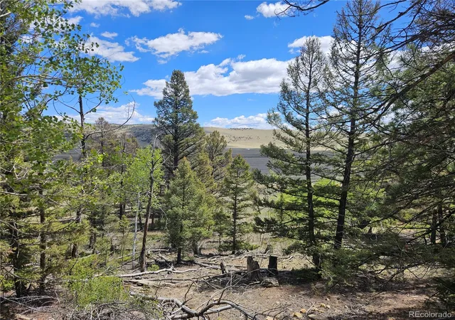 Homes for sale in Fairplay, CO | 1412 Redhill Rd, Fairplay, CO 80440 | MLS# 6587636
