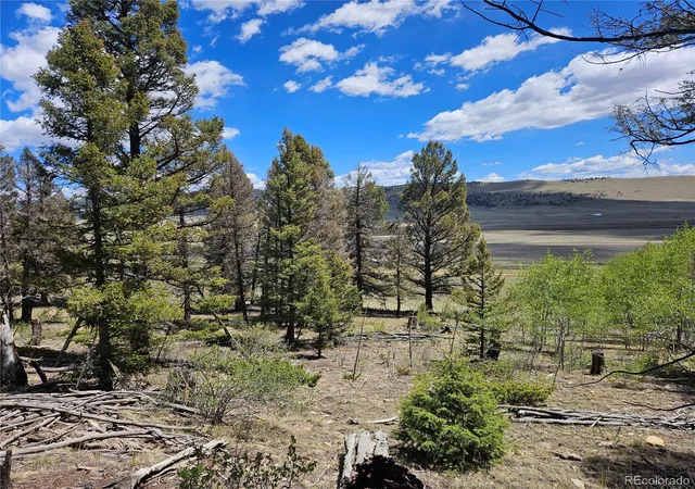 Homes for sale in Fairplay, CO | 1412 Redhill Rd, Fairplay, CO 80440 | MLS# 6587636