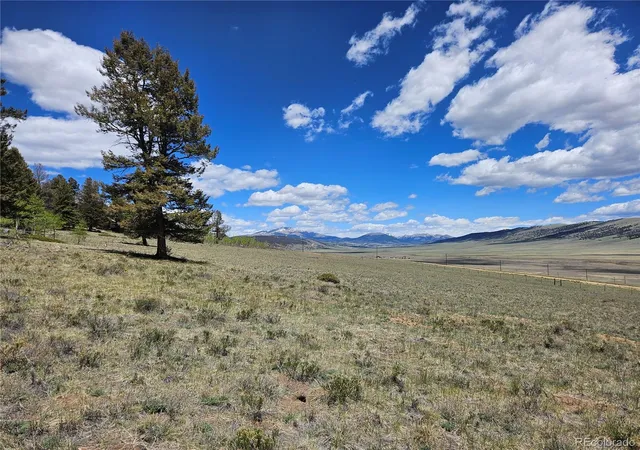 Homes for sale in Fairplay, CO | 1412 Redhill Rd, Fairplay, CO 80440 | MLS# 6587636