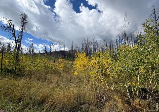 Photo 3 of Land for sale at 2025 Granite Rd, Bellvue, CO 80512 | MLS# IR1051800 | Listing updated on 2026-09-21