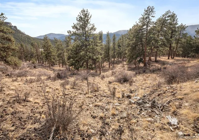 Photo 2 of Land for sale at 260 Bailey Dr, Bailey, CO 80421 | MLS# 6700351 | Listing updated on 2026-10-17