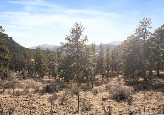 Photo 3 of Land for sale at 260 Bailey Dr, Bailey, CO 80421 | MLS# 6700351 | Listing updated on 2026-10-17