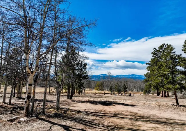 Homes for sale in Lake George, CO | 1874 Vagabond Creek Dr, Lake George, CO 80827 | MLS# 9815737