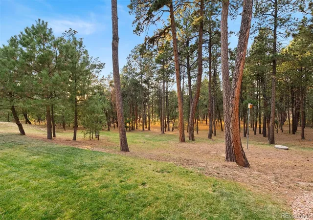 49th image of 17507 Colonial Park Dr, Monument, CO 80132 | MLS# 4101162