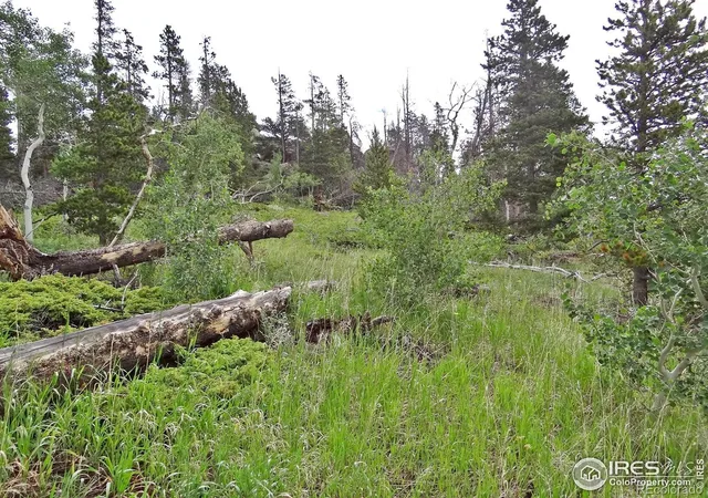 3rd image of 1683 Osage Trl, Red Feather Lakes, CO 80545 | MLS# IR1052189