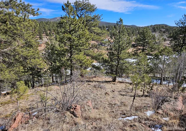 Homes for sale in Bailey, CO | 147 Ward St, Bailey, CO 80421 | MLS# 4145581