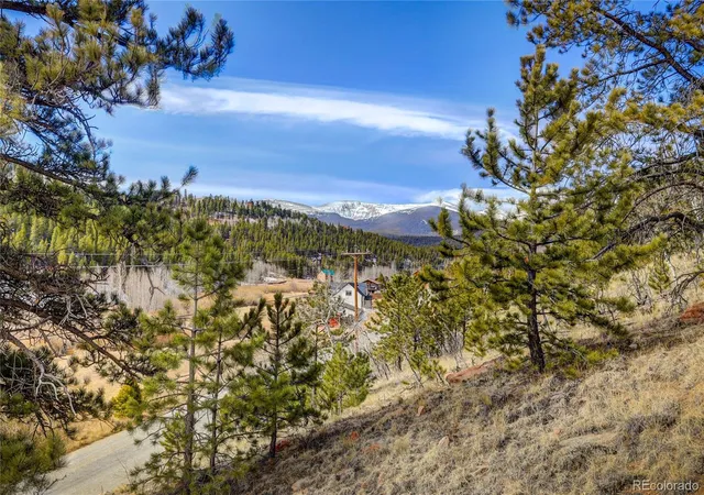 Homes for sale in Bailey, CO | 147 Ward St, Bailey, CO 80421 | MLS# 4145581