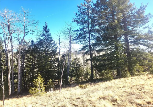 1st image of 8802 Ranch Rd, Hartsel, CO 80449 | MLS# 7730999