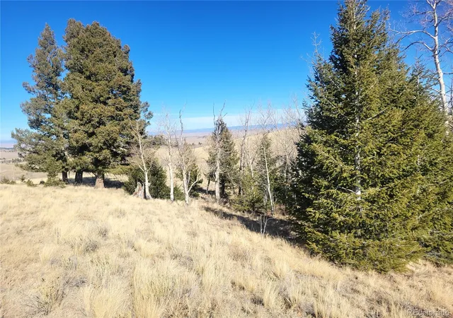 2nd image of 8802 Ranch Rd, Hartsel, CO 80449 | MLS# 7730999